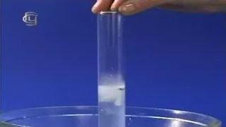 Experiments in chemistry. Interaction of calcium with water