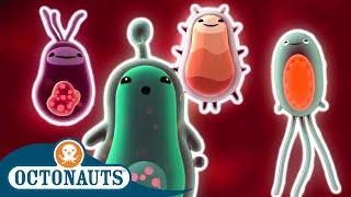 Octonauts - Microscopic Creatures  | 30 Mins+ | Cartoons for Kids | Underwater Sea Education