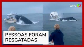 Baleia vira barco com duas pessoas após salto nos Estados Unidos