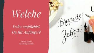 Welche Feder für Kalligraphie Anfänger? Meine Spitzfeder-Empfehlung, Moderne Kalligrafie lernen