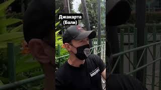 правда бали джакарта #бали #балиблог #переезднабали #сколькостоитжитьнабали #бизнеснабали бали2023