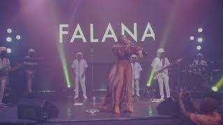 #falanachatpteroneKGL - 30th August 2019 Falana