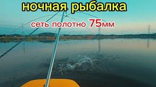 ПОЙМАЛ КРУПНЫХ РЫБ на паук с лодки. вечерний выезд #fishing #낚시 #рыбалка #carpfishing #паукподъемник