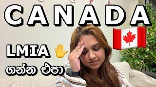 Canada New Immigration Changes  | LMIA එපා!!  | අලුත්ම නීති #canada #sinhala #srilanka #lmia