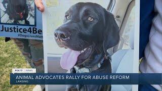 Protect MI Pet rallying to get animal abuse registry on 2024 ballot