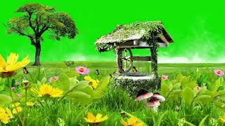 garden green screen | new background video | background video effects hd | tree green screen