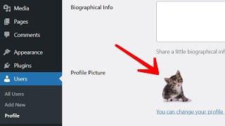 Add Profile Picture in WordPress