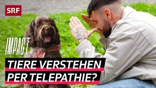 Mit Tieren reden – Telepathische Fähigkeit oder nur Einbildung? | Impact | SRF