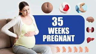 35 Weeks Pregnant – Baby Position and Braxton Hicks Contractions