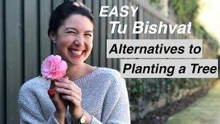 Alternatives to Planting a Tree - Non-traditional Tu Bishvat Activities