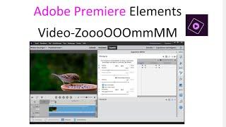 Zoomen und Bildausschnitt eines Videos vergrößern – Premiere Elements Tool / effektiv wie in PRO