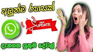 whatsapp new update sinhala |  | SL damiya / whatsapp new update feature/ whatsapp video massage