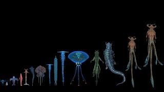 All Leviathan Class Organisms known yet on 4546B - (All leviathan size comparison)
