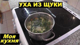 Уха из щуки | Рецепт ухи из щуки | Вкусная уха из щуки | Уха из щуки в домашних условиях | Моя кухня