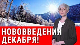 Смотреть всем! С 1 декабря нововведения для украинцев! Пенсии! Тарифы!