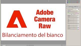 Photoshop: Bilanciamento del bianco in Camera Raw - Tutorial 72