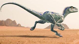 Velociraptor Running Animation  - [ Blue Raptor from Jurassic World ]