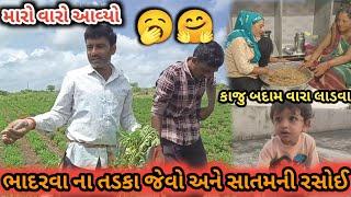 સાતમની રસોઈ | ભાદરવા જેવો તડકો હવે મગફળીમાં પાણી ચાલુ કરવું પડશે | ટમુને આજે તબિયત મા ઘણી રિકવરી છે