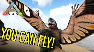 The New Best Shoulder Pet? | Sinomacrops Guide | Ark: Survival Evolved