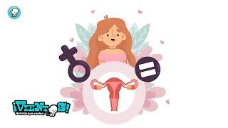 Breves: ¿Qué es la menstruación?