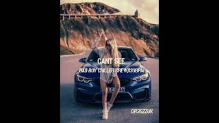 Bad Boy Chiller Crew -"CANT SEE" | Organ Bassline Type Beat Instrumental 2024