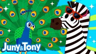 Animal Fashion Show | Animal Patterns | Animal Songs for Kids | JunyTony