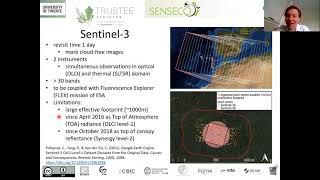 Ecosystem flux simulation with SCOPE model