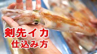 剣先イカのさばき方と刺身まで！釣り人用の仕込み方です。2021 5 30 裕凪丸マイカ料理編