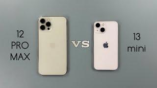 iPhone 12 Pro Max Vs iPhone 13 mini Speed Test & Camera Comparison 2025