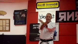 Bunkai 11-20, Matsumura Seito Shorin Ryu Karate Jutsu