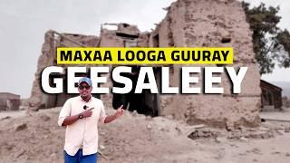 Maxaa looga guuray, Geesaleey?