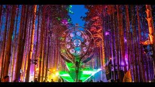 Rekindle The Sherwood Spirit - A Look Back On Electric Forest 2022 ️ #EF2022