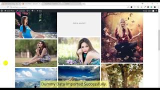 AcmePhoto : Masonry Based Photography Theme For All Photographers, Demo Import Process