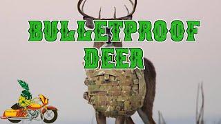 TPR - What type of bulletproof vest should deer wear?