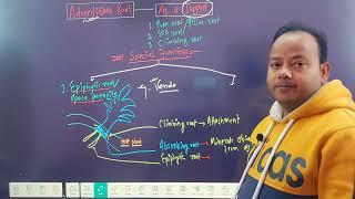 Special Functions of Adventitious Root|Morphology of flowering plants|NEET