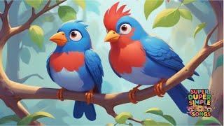 Toddler Song About Birds I Toddler Cartoon Series I Morning Music For Kids I Super Simple Songs