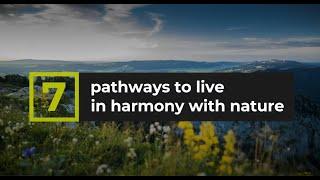 7 Pathways to live in harmony with nature