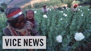 VICE News Daily: Beyond The Headlines - March 18, 2014.