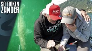 Wir filmen große Alpen-Zander unterwasser! ️ So ticken Zander!