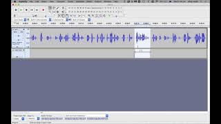 Turn sound file in to Flashcards (Audacity to Anki): Make the most from your language exchanges