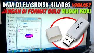 Data di Flasdisk Hilang atau Tidak Terbaca? Padahal Kapasitas Ada, Ini Solusi Jitunya!