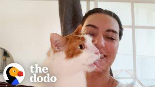 This Senior Rescue Cat Is Obsessed With Shower Time | The Dodo