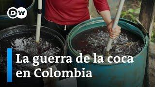 La sobreproducción impide a muchos campesinos vender la coca que cultivan