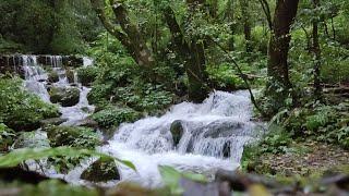 Shivapuri nagarjun National Park Hiking