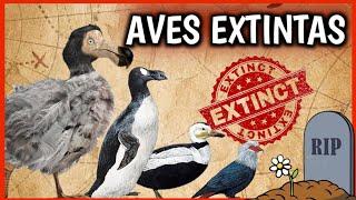 ¡7 Aves EXTINTAS! ️ Animales extintos por el Hombre que ¡NUNCA VEREMOS! Documental