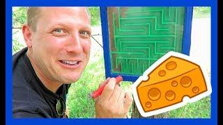 A-MAZE-ING GADGET GEOCACHE! (Geocaching)