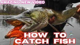 The best fishing on earth? |Tips, Tricks, and Epic Catches | River & Pond Adventures