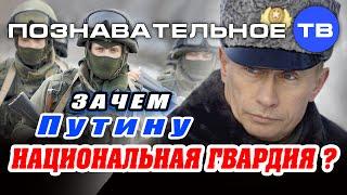 Зачем Путину Национальная гвардия? (Познавательное ТВ, Артём Войтенков)