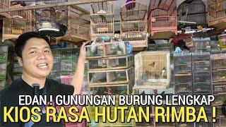 VIRALKAN ! KIOS BURUNG RASA HUTAN RIMBA HARGA MURAH PASAR BURUNG PRAMUKA HARI INI KIOS SIGIT