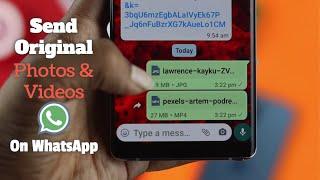 How to Send Large Video Files on WhatsApp! [Without Losing Quality]